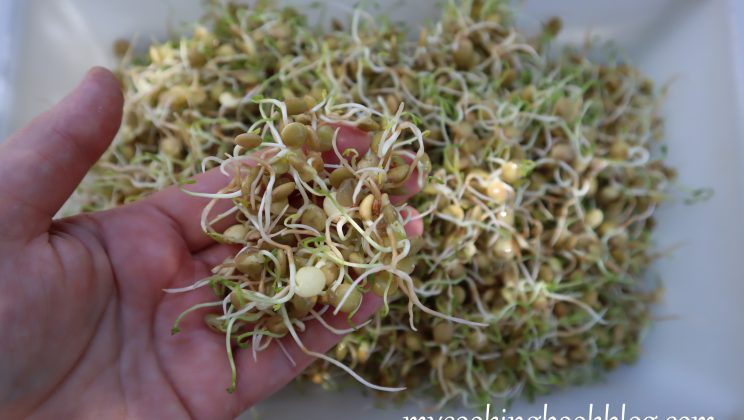 Как се правят кълнове от зелена леща