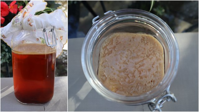 Как да си направя Комбуча Скоби (SCOBY) или Чаена гъба Как да си направя Комбуча Скоби (SCOBY) или Чаена гъба
